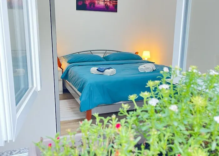 Apartman Lingo